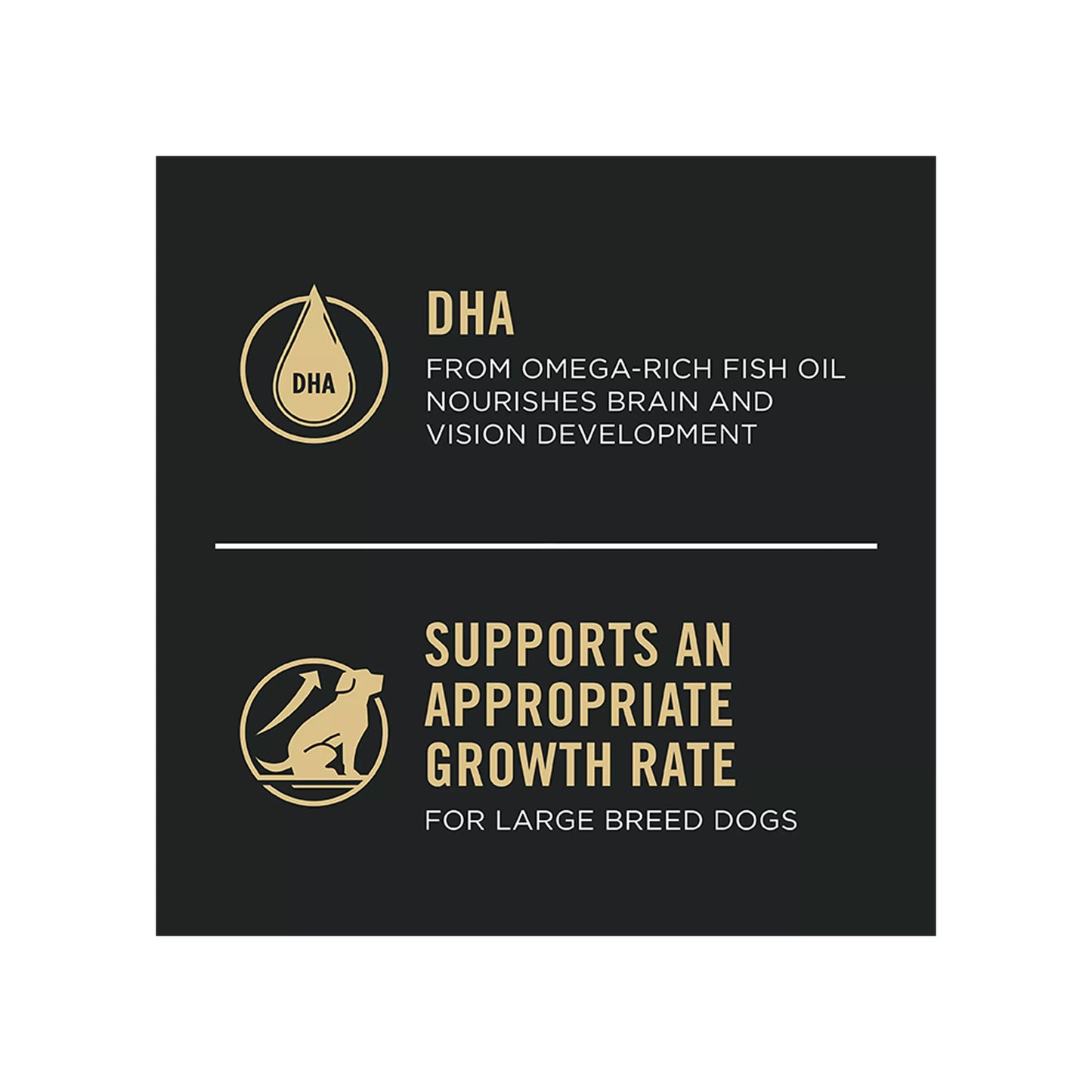 Purina Pro Plan Development Sensitive Skin & Stomach Large Breed Puppy Dry Dog Food - Salmon & Rice