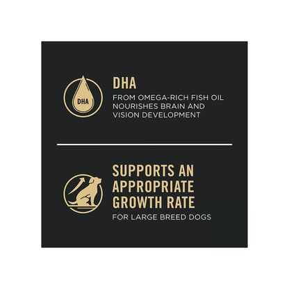 Purina Pro Plan Development Sensitive Skin & Stomach Large Breed Puppy Dry Dog Food - Salmon & Rice