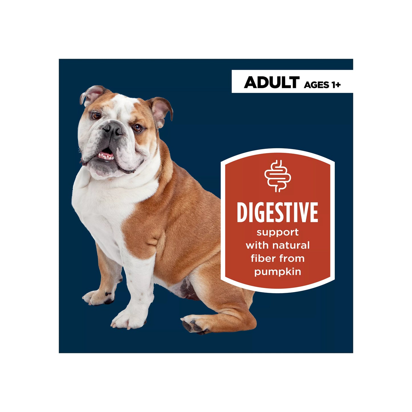 Authority® Digestive Support All Life Stages Wet Dog Food Supplement Topper - Pumpkin, 15 oz