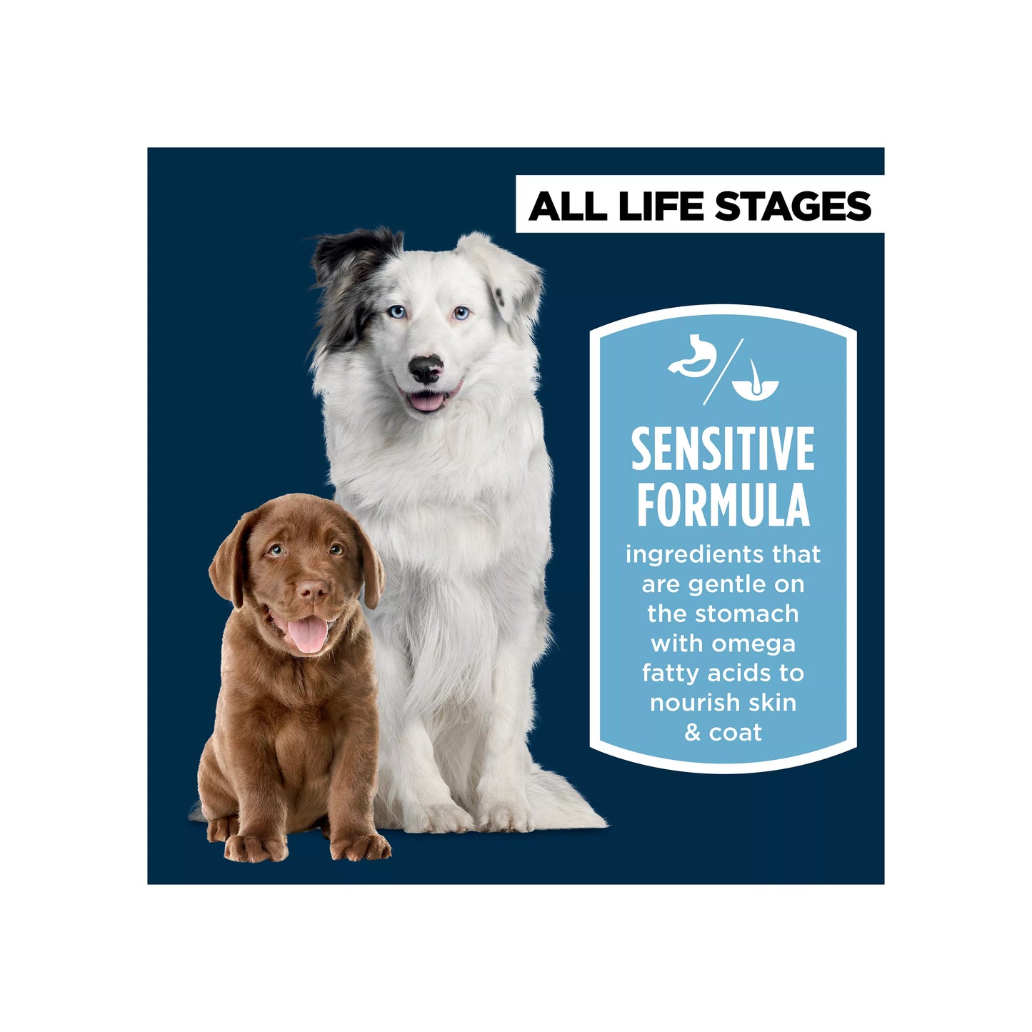 Authority® Sensitive Stomach & Skin All Life Stages Dry Dog Food - Salmon & Rice
