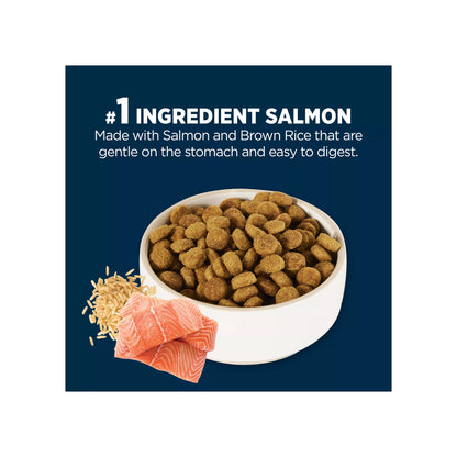 Authority® Sensitive Stomach & Skin All Life Stages Dry Dog Food - Salmon & Rice