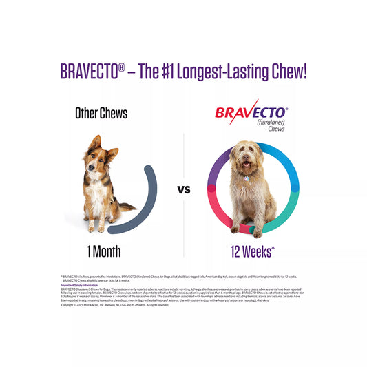 Bravecto Chews 44-88 lbs Blue, 1000 mg 1 chewable, 12 weeks acting