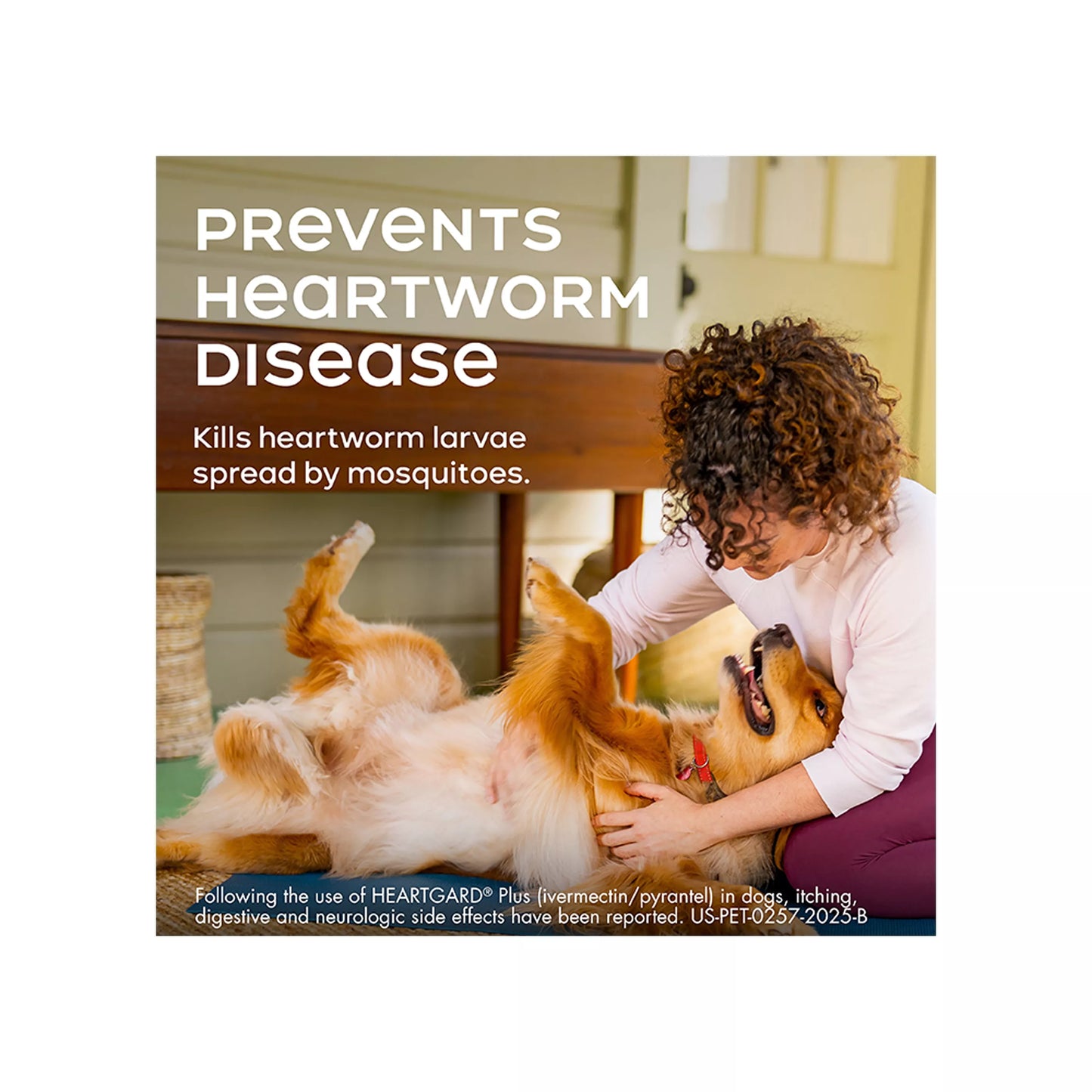 Heartgard Plus Chewables For Dogs 1-25 lbs Blue