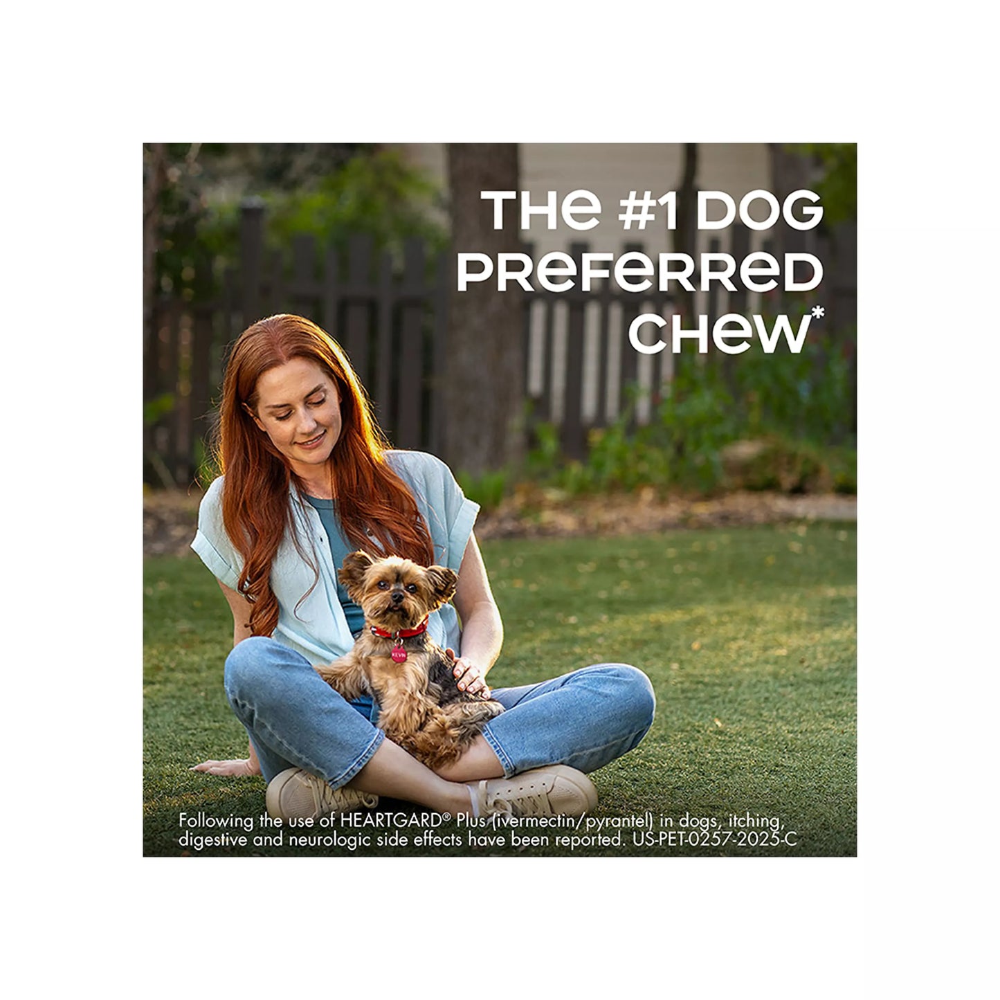 Heartgard Plus Chewables For Dogs 1-25 lbs Blue