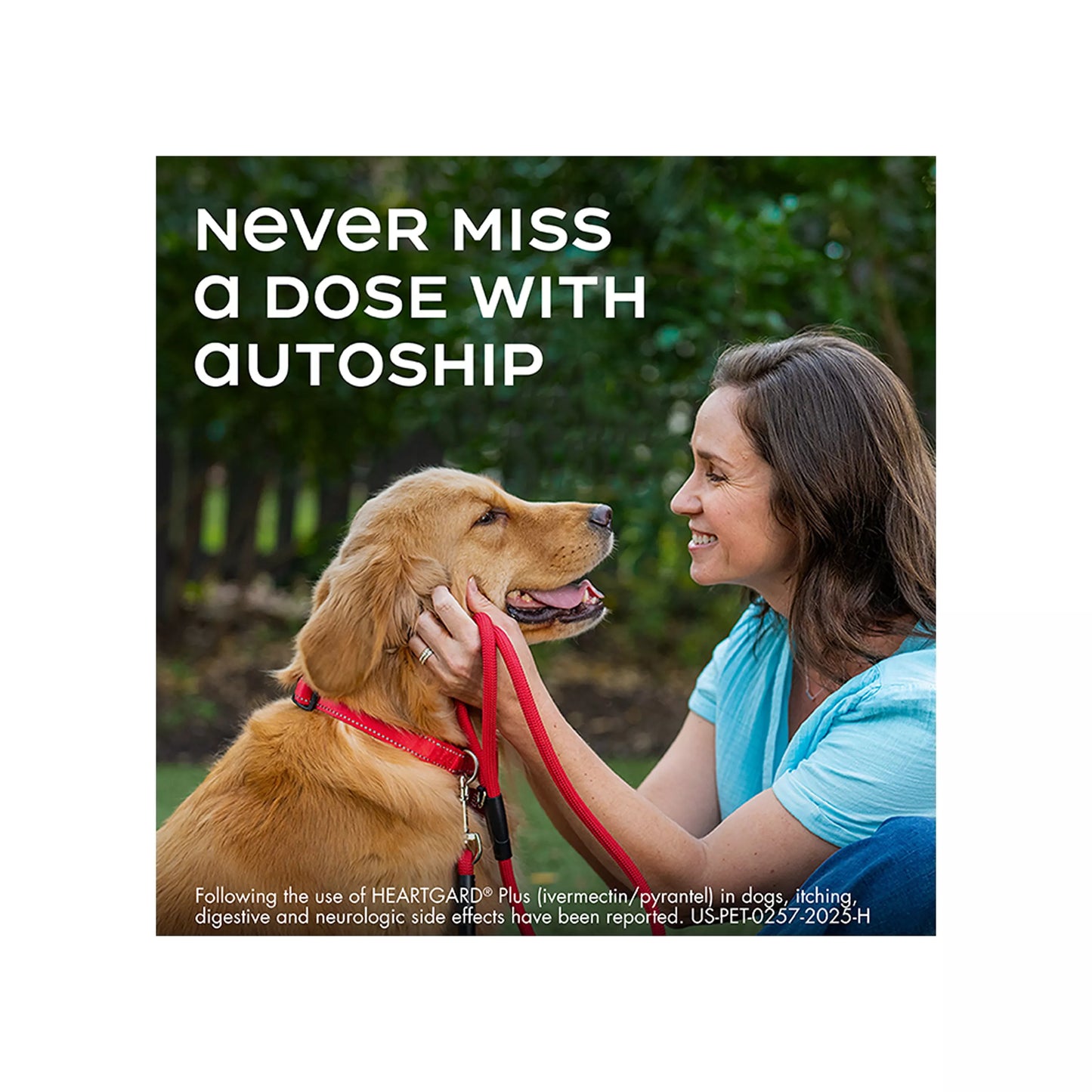 Heartgard Plus Chewables For Dogs 1-25 lbs Blue