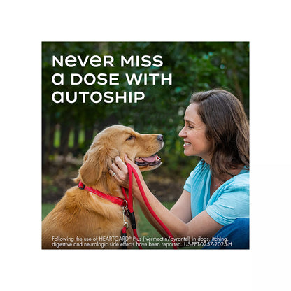 Heartgard Plus Chewables For Dogs 1-25 lbs Blue