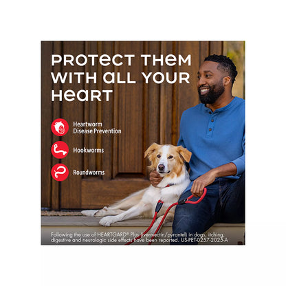 Heartgard Plus Chewables For Dogs 51-100 lbs Brown