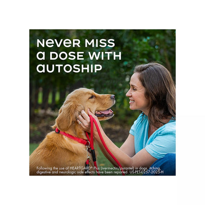 Heartgard Plus Chewables For Dogs 51-100 lbs Brown