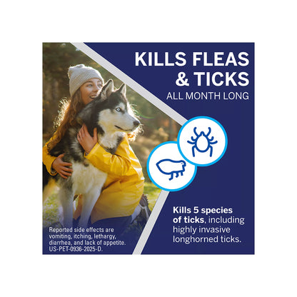 NexGard Chewable Tablets for Dogs 24.1 - 60.0 lbs