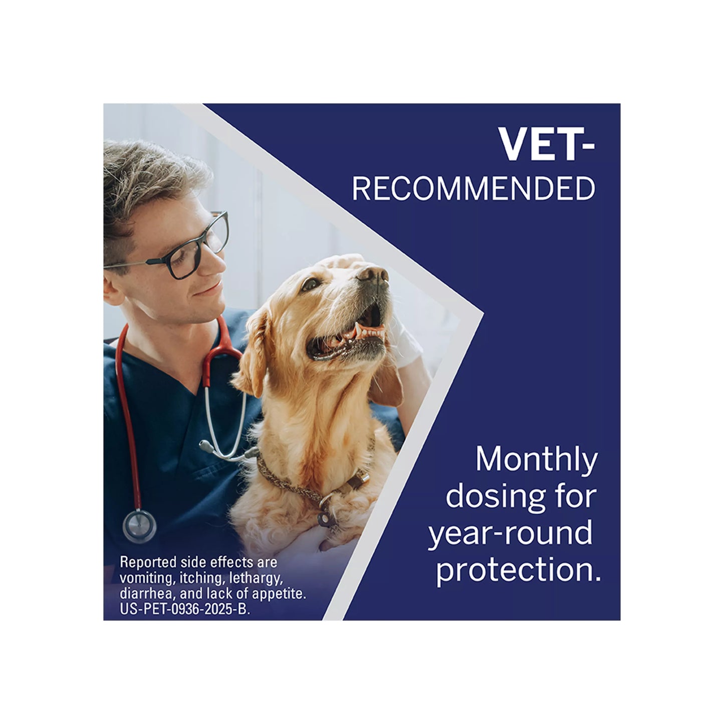 NexGard Chewable Tablets for Dogs 60.1-121 lbs