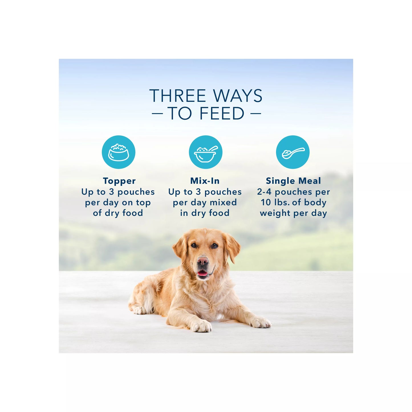 Blue Buffalo® Delectables Variety Pack Adult Dog Food Topper - Chicken & Beef, 3 oz, 12 Count