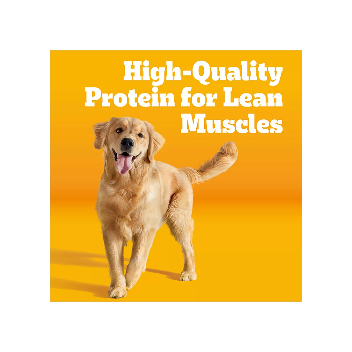 Pedigree® Complete Nutrition Adult Dry Dog Food - Steak & Vegetables