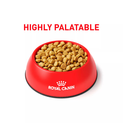 Royal Canin® Veterinary Diet Canine Ultamino Adult Dry Dog Food