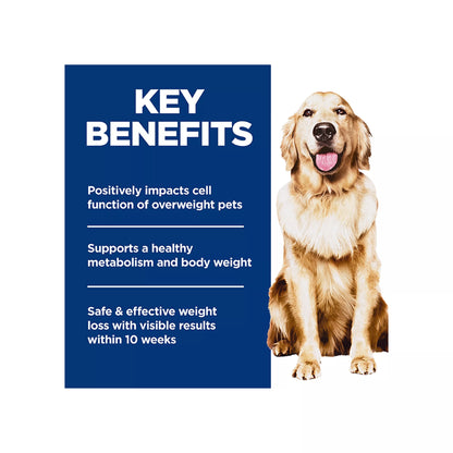 Hill's Science Diet Perfect Weight Adult Dry Dog Food - Chicken