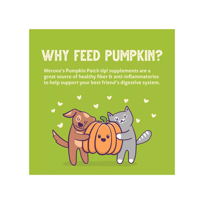 Weruva Pumpkin Patch Up! Supplement for Cats and Dogs - Digestive Support, Pureed Pumpkin, 1.05 OZ