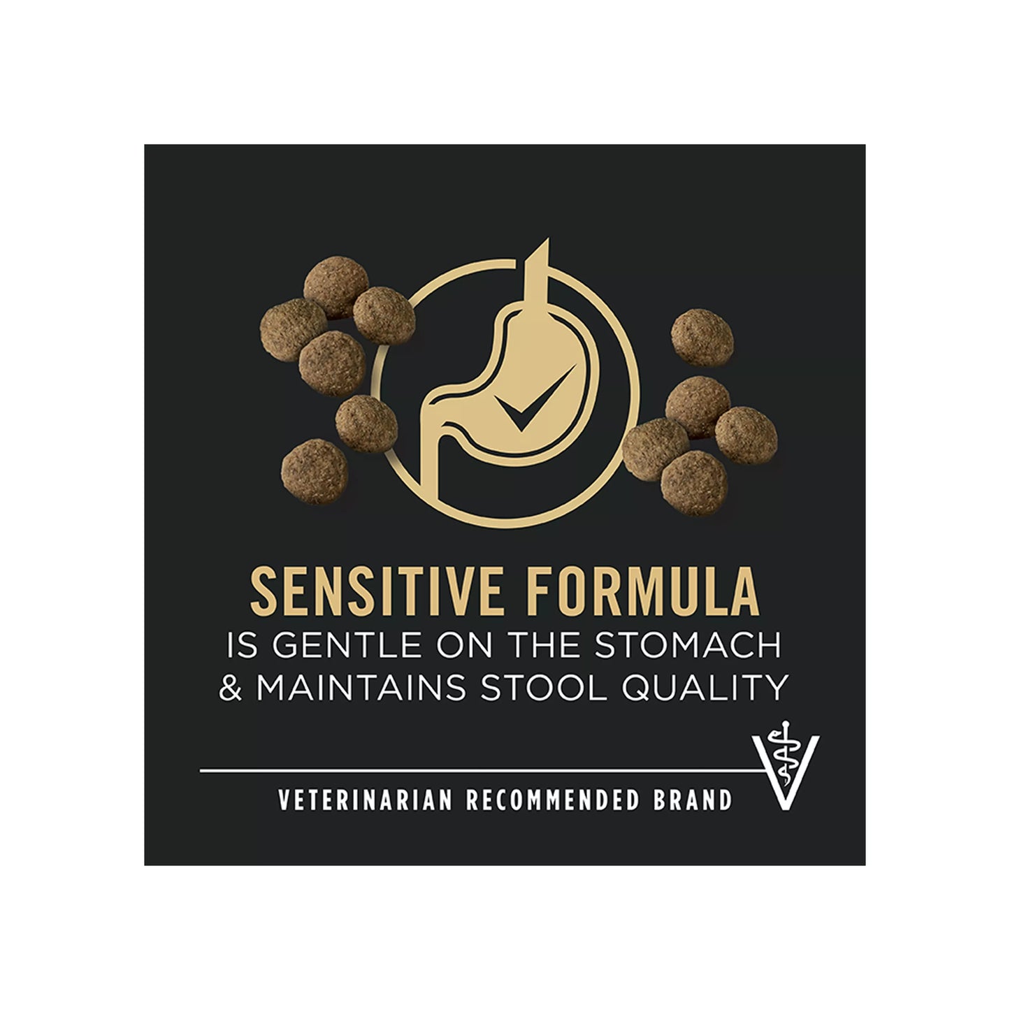 Purina Pro Plan Sensitive Skin & Stomach Large Breed Adult Dry Dog Food - Salmon & Rice