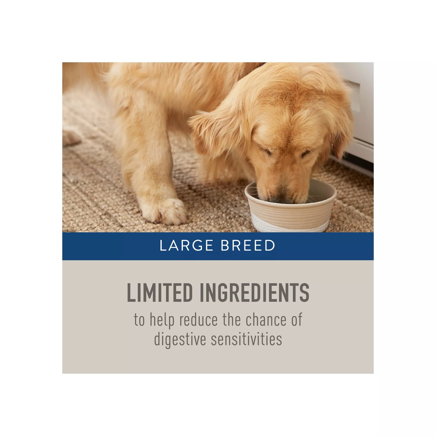 Simply Nourish Large Breed Adult Dog Food - Salmon & Sweet Potato Recipe