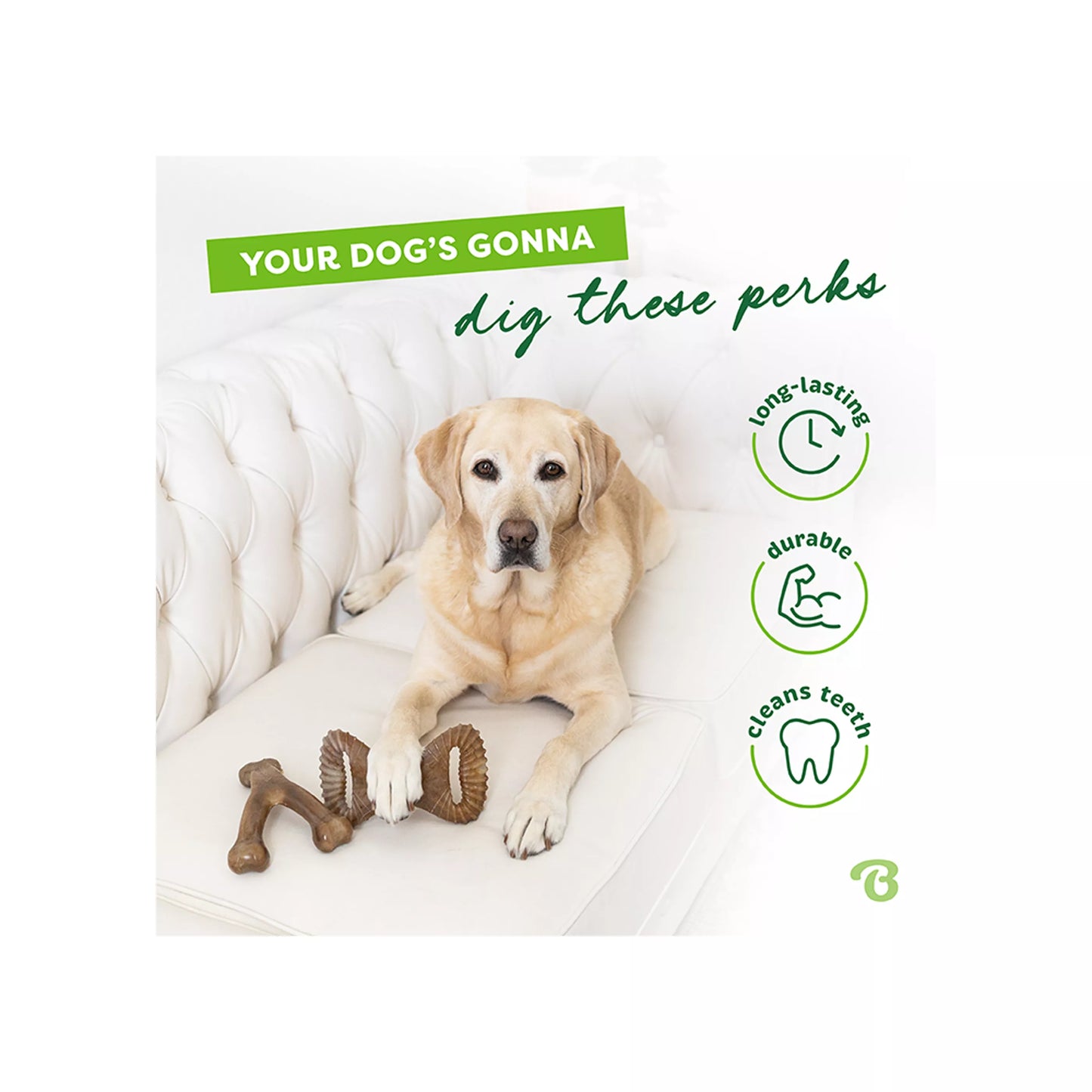 Benebone® Wishbone Dental Chew 2 Pack