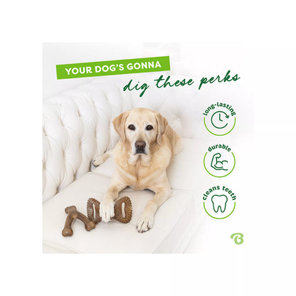 Benebone® Wishbone Dental Chew 2 Pack