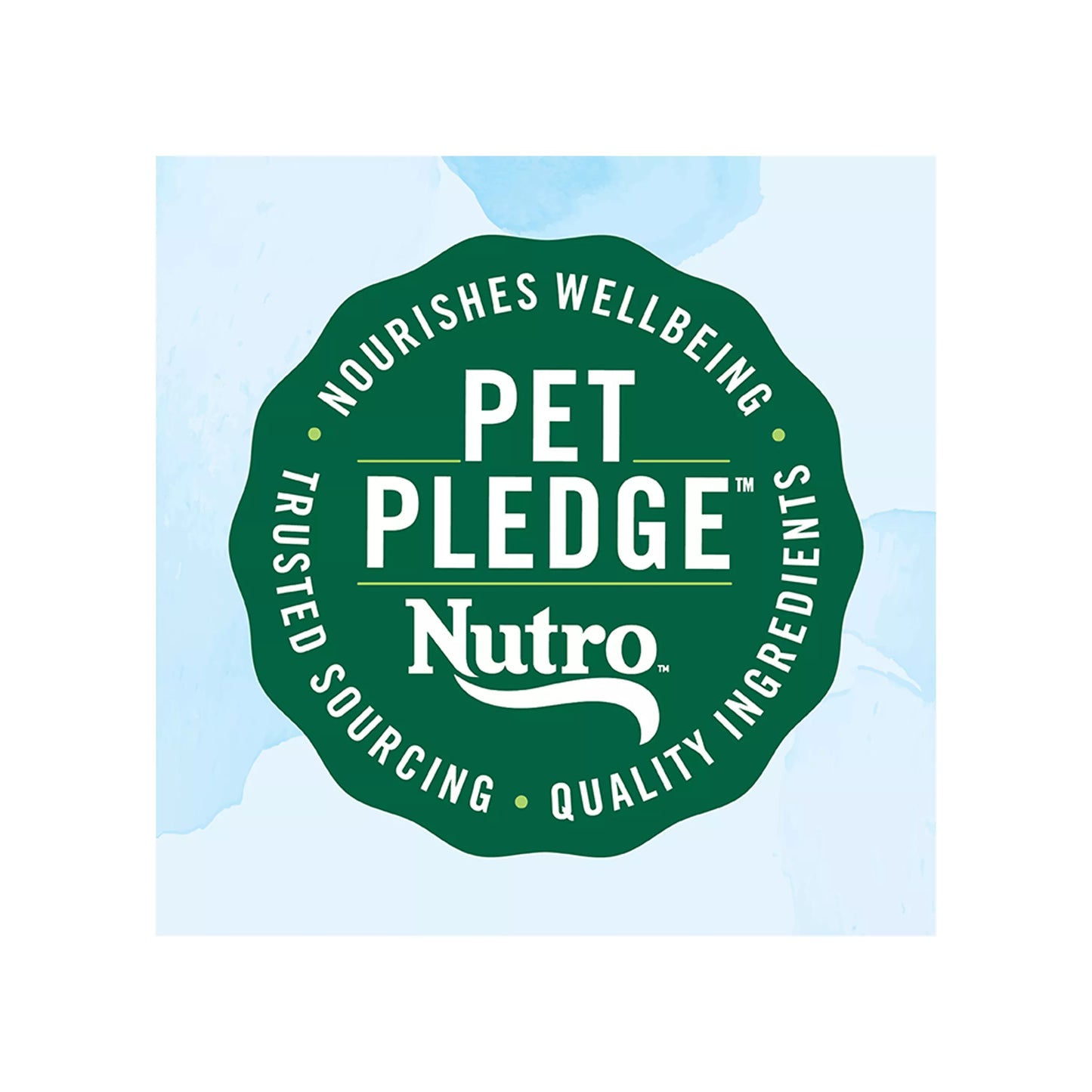 Nutro Natural Choice Limited Ingredient Adult Dog Food - Grain Free, Salmon & Lentils Recipe