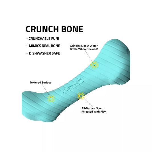Playology Crunch Bone Peanut Butter Scent Chew Dog Toy