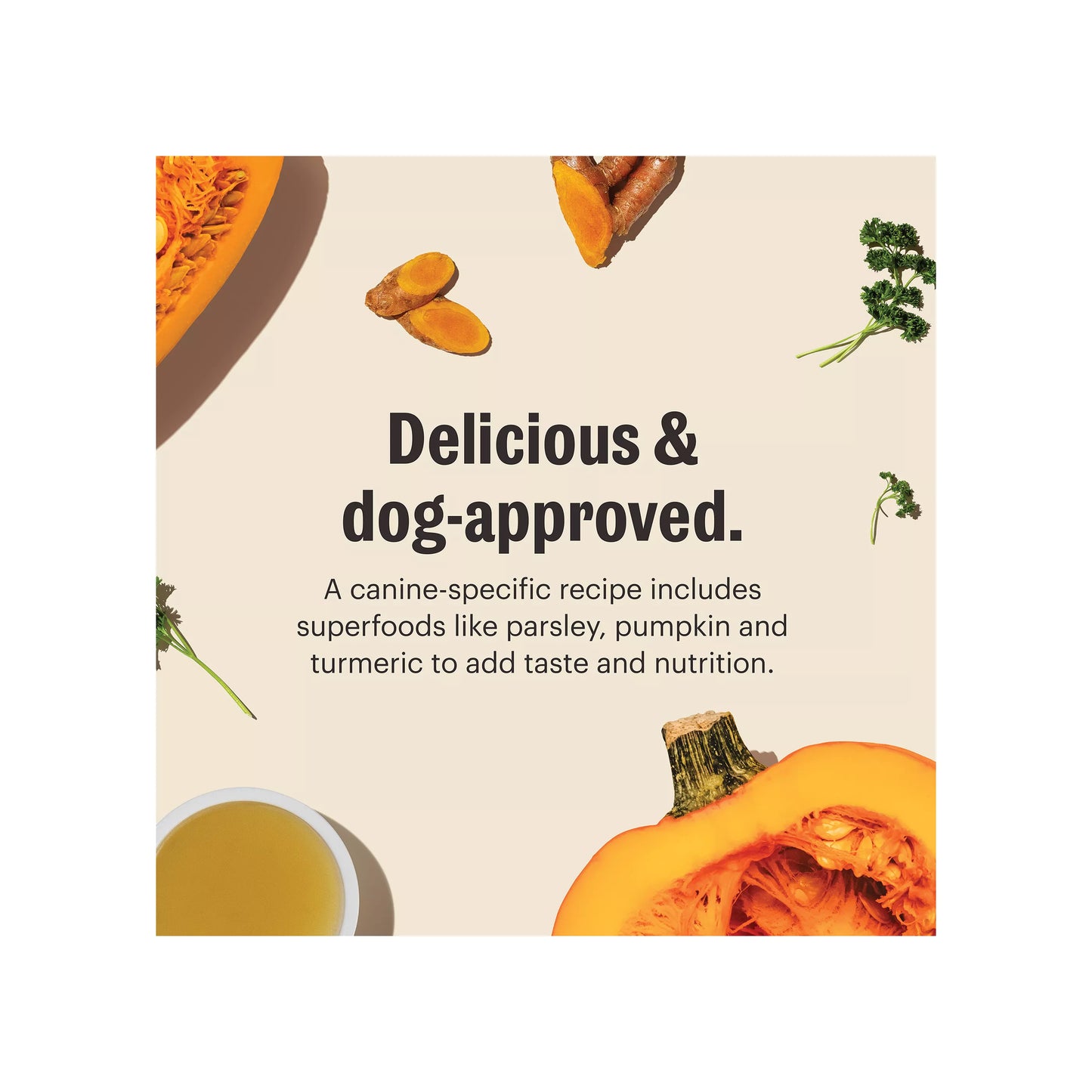 The Honest Kitchen Daily Boosters Dehydrated Bone Broth All Life Stages Dog Food Topper - Beef