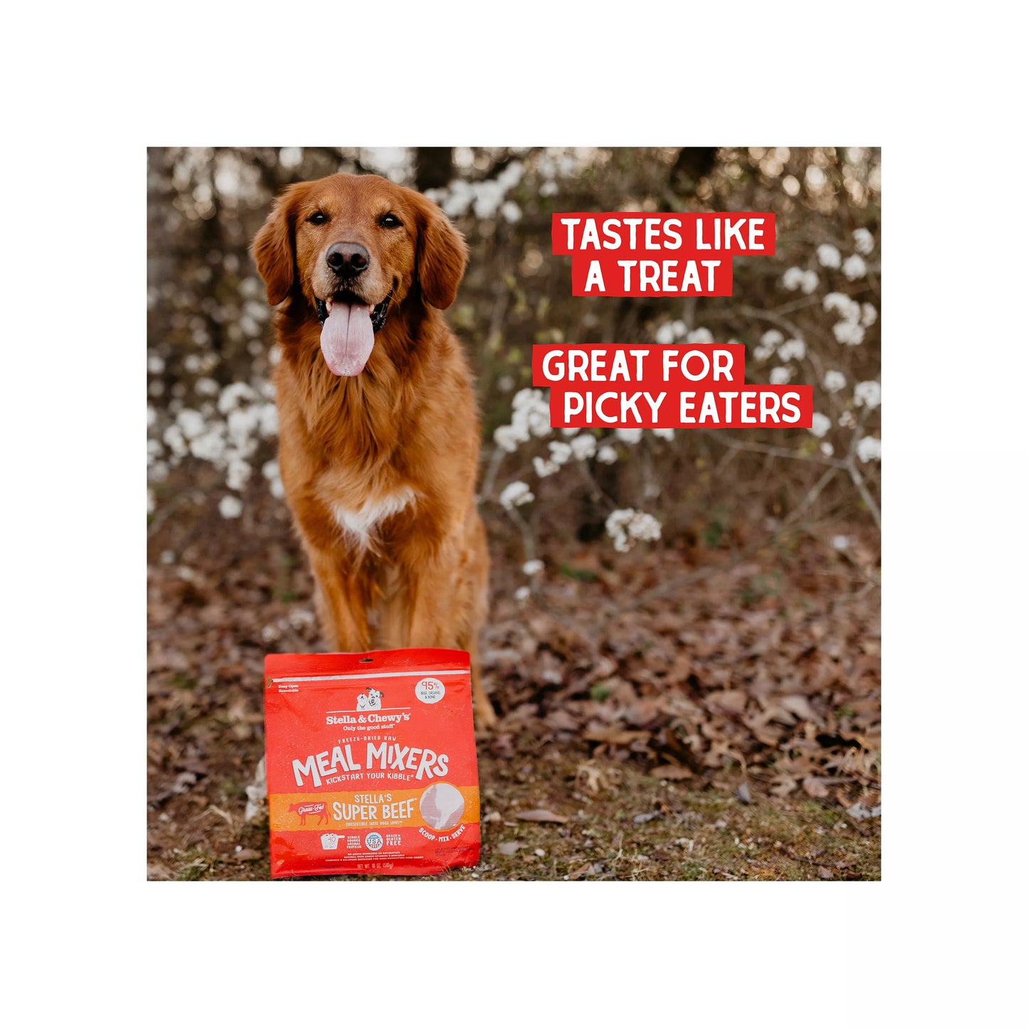 Stella & Chewy's Freeze-Dried Raw Meal Mixers All Life Stages Dog Food Topper - Super Beef