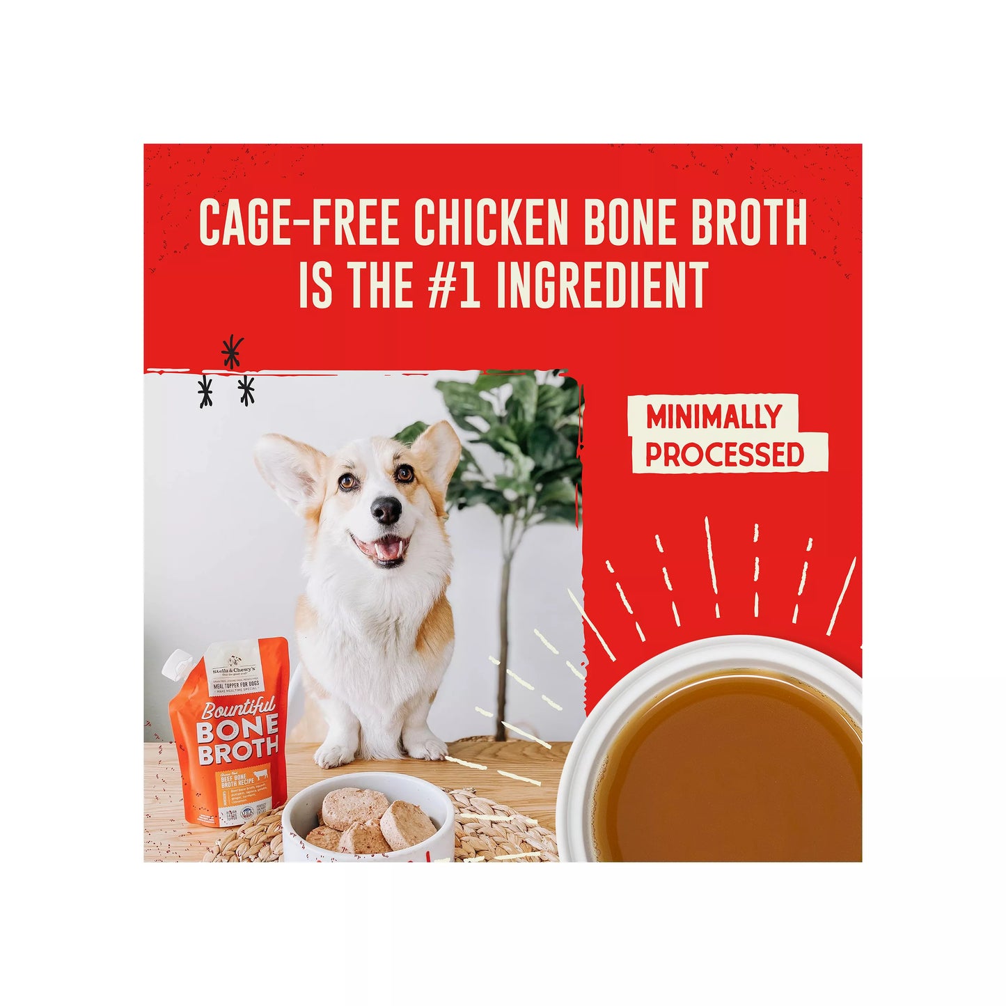 Stella & Chewy's Bountiful Bone Broth All Life Stages Dog Food Topper - Chicken