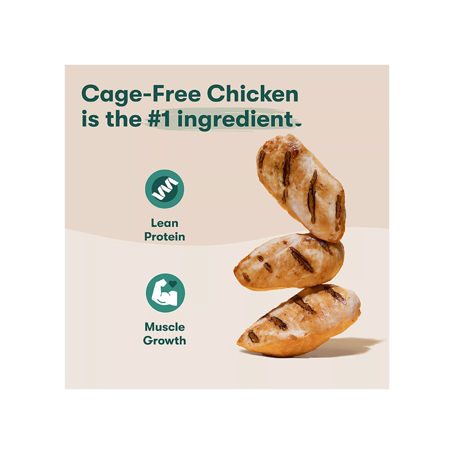 Jinx Homemades All Life Stages Wet Dog Food 9 oz