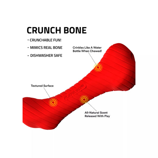 Playology Holiday Grandma's Gravy Scented Crunch Bone Dog Toy, Jumbo