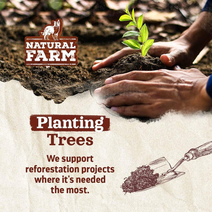 3x25 Packs Natural Farm Odor-Free Bully Sticks (6 Inch, 25 count),1.3 lb. Bag, Fully Digestible 100% Beef Pizzle Chews,Grass-Fed, Non-GMO,Grain-Free, Natural Long-Lasting Chews for Small & Large Dogs.