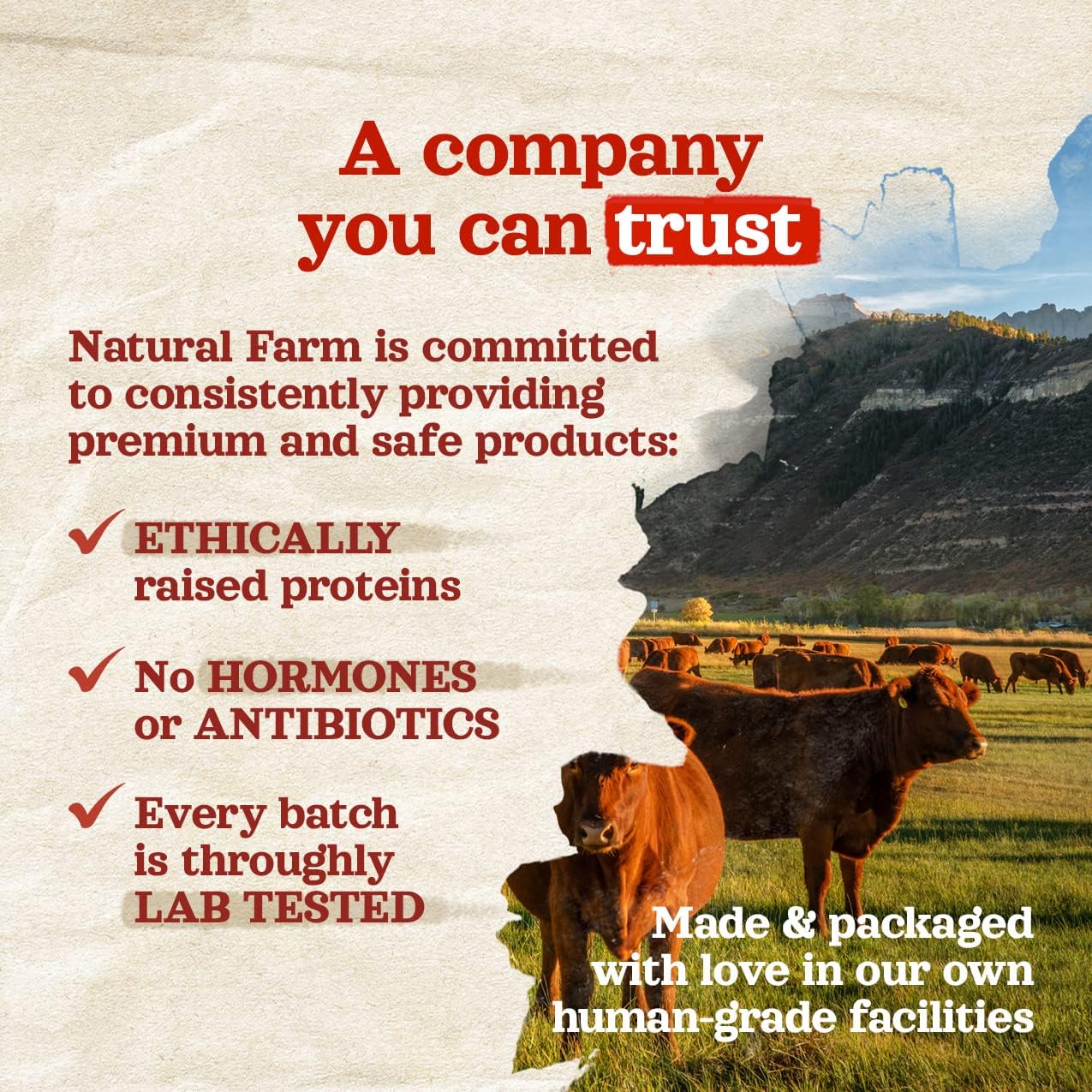 3x25 Packs Natural Farm Odor-Free Bully Sticks (6 Inch, 25 count),1.3 lb. Bag, Fully Digestible 100% Beef Pizzle Chews,Grass-Fed, Non-GMO,Grain-Free, Natural Long-Lasting Chews for Small & Large Dogs.