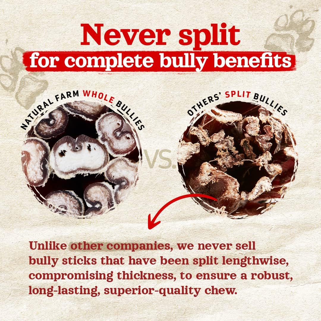 3x25 Packs Natural Farm Odor-Free Bully Sticks (6 Inch, 25 count),1.3 lb. Bag, Fully Digestible 100% Beef Pizzle Chews,Grass-Fed, Non-GMO,Grain-Free, Natural Long-Lasting Chews for Small & Large Dogs.